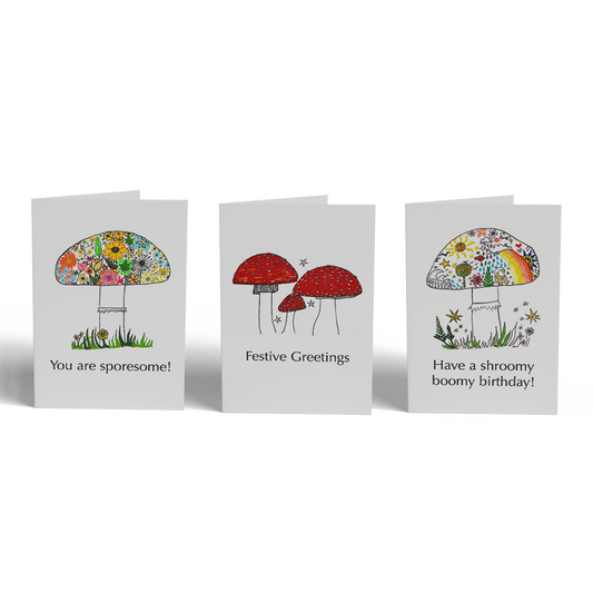 MMA Greeting Card Bundle (x10 incl. Envelopes)